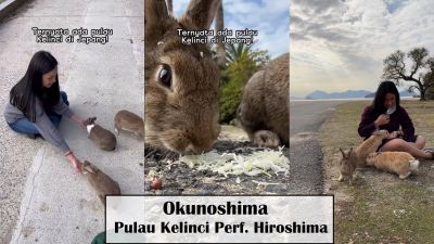 Pulau di Prefektur Hiroshima Jepang Ini Kini Dikuasai oleh Kelinci! Siap-Siap Bawa Wortel!