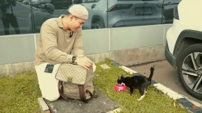 Robby Purba Lakukan Street Feeding karena Kucing Jalanan Juga Butuh Kasih Sayang